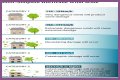 Hurricane Categories: What Categories 1, 2, 3, 4, 5, 6 Mean