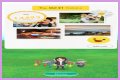 Niantic to perform server maintenance for Pokemon Go and Pikmin Bloom