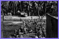 WWII's Most Daring Raids - Smithsonian Channel